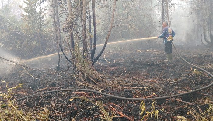 Api Karhutla Menjalar di Gambut Dalam Tumbang Nusa