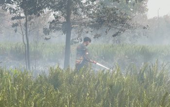 Karhutla Petuk Ketimpun Berhasil Dipadamkan, Tim Bergerak Cepat
