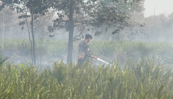 Karhutla Petuk Ketimpun Berhasil Dipadamkan, Tim Bergerak Cepat