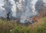 Dishut Kalteng Perkuat Penanganan Karhutla di Kalampangan