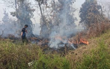 Dishut Kalteng Perkuat Penanganan Karhutla di Kalampangan
