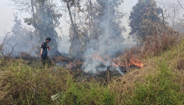 Dishut Kalteng Perkuat Penanganan Karhutla di Kalampangan