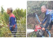 Tak Muda Lagi, Kai Ujang dan H. Sopian Tetap Tangguh Hadapi Karhutla