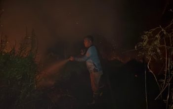 Karhutla Palangka Raya Melanda Lahan Gambut Petuk Ketimpun Hingga Usai Dini Hari 