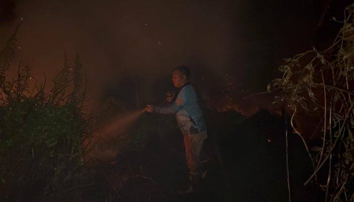 Karhutla Palangka Raya Melanda Lahan Gambut Petuk Ketimpun Hingga Usai Dini Hari 