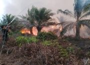 Kebakaran Gambut Baun Bango Meluas, Tim Gabungan Berjibaku