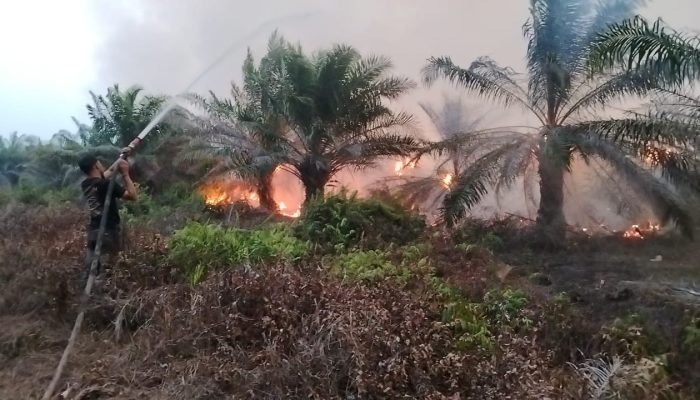 Kebakaran Gambut Baun Bango Meluas, Tim Gabungan Berjibaku