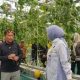 Panen Melon Smart Greenhouse Bukti Pertanian Modern Kalteng Makin Produktif