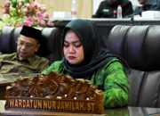 DPRD Barito Utara Apresiasi Petugas Tangani Karhutla