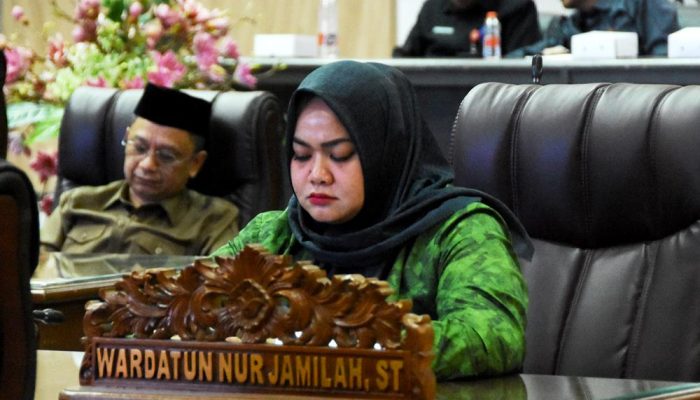 DPRD Barito Utara Apresiasi Petugas Tangani Karhutla