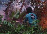 Dalkarhutla Dishut Kalteng Fokus Tangani Tiga Titik Karhutla Saat Tanggap Darurat