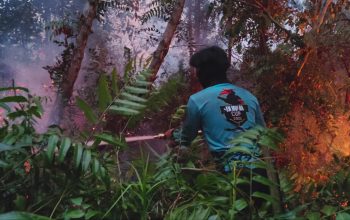 Dalkarhutla Dishut Kalteng Fokus Tangani Tiga Titik Karhutla Saat Tanggap Darurat