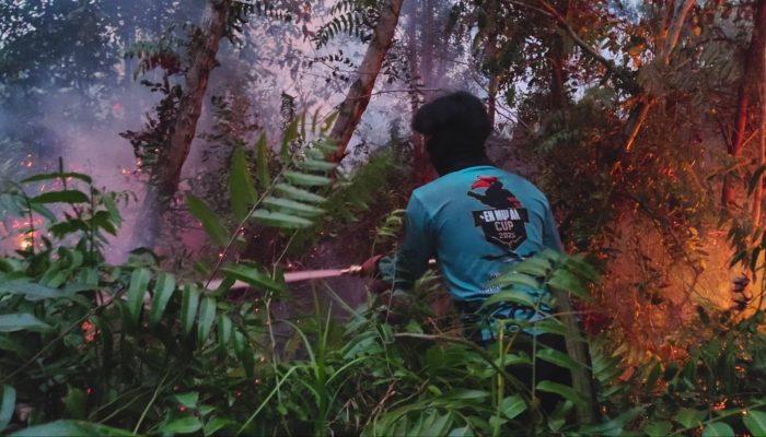 Dalkarhutla Dishut Kalteng Fokus Tangani Tiga Titik Karhutla Saat Tanggap Darurat