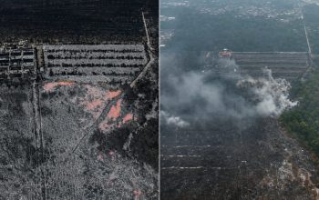 FOTO Ist.: Hasil Drone Thermal merupakan hasil kerja sama UPR melalui UPA Pengelolaan Lahan Gambut (PLG)-CIMTROP dengan BNF.