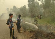 Tujuh Jam Pemadaman, Karhutla TWA Galeget Tiawu Berhasil Ditangani