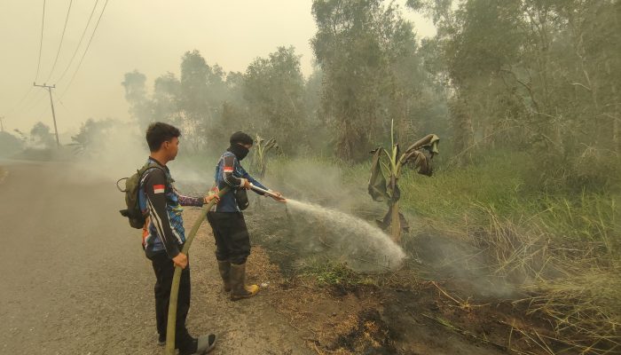 Tim Dishut Kalteng Lanjutkan Penanganan Karhutla di Bantanan