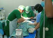 Kolaborasi RSUD Doris Sylvanus dan Smile Train Layani Anak