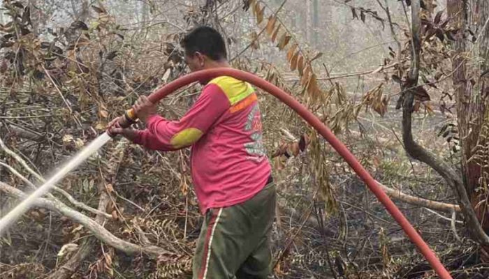 63 Karhutla Ditangani dalam 24 Jam, BPBPK Kalteng Kerahkan 10.700 Personel